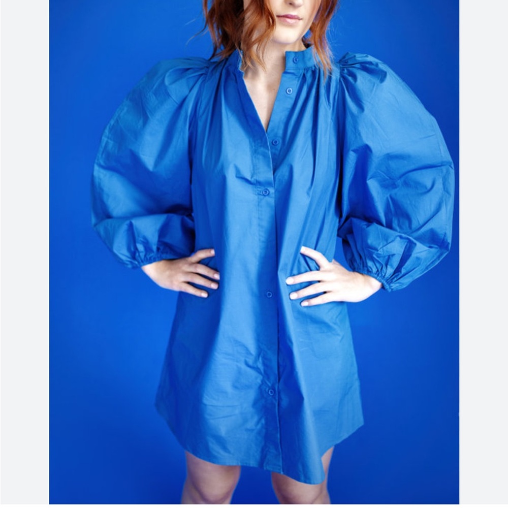 SHEIN Royal Blue Long Sleeve dress